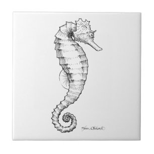 Seahorse Black and White Drawing Tile