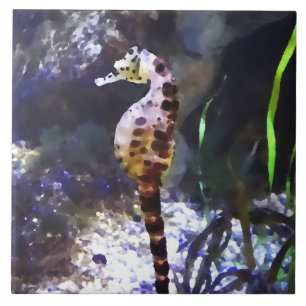 Seahorse in Aquarium Tile