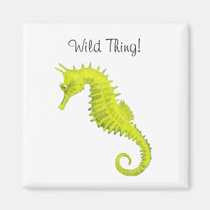 Seahorse Magnet