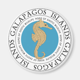 Seahorse Magnet