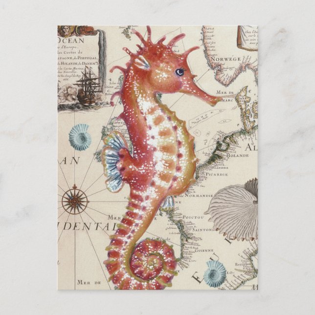 Seahorse Shabby Postcard (Front)
