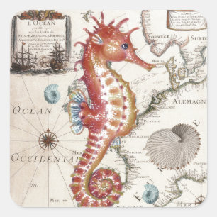 Seahorse Shabby Square Sticker