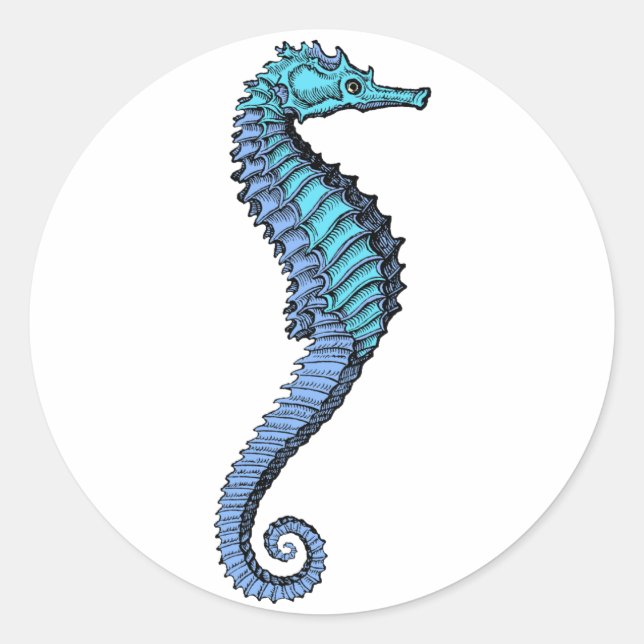 Seahorse Sticker (Front)
