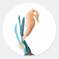 Seahorse tethered on Seaweed