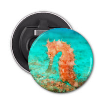 Seahorse tropical carribean turquoise orange 