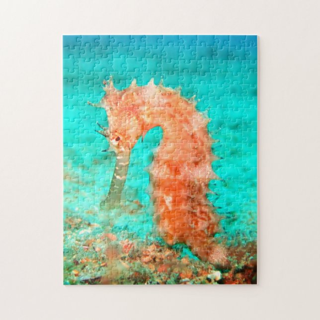 Seahorse tropical carribean turquoise orange  jigsaw puzzle (Vertical)