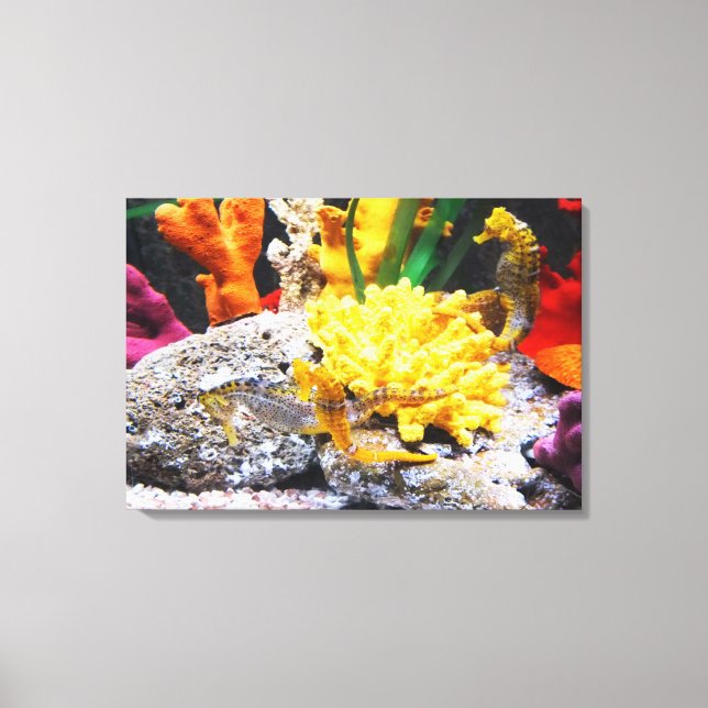 Seahorses Canvas Print (Front)