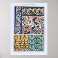 Seahorses, Lizards, Dragonflies, Butterflies