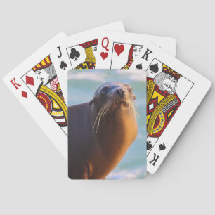 Seal 1- What you looking at! Playing Cards