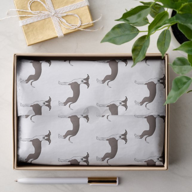 Seal And White Italian Greyhound Cute Dog Pattern Tissue Paper (Gift)