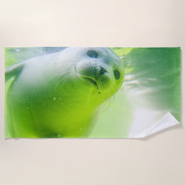 Seal Beach Towel (Front)