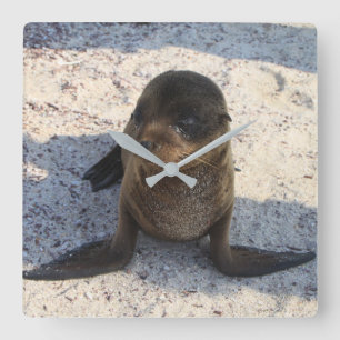 Seal Clock