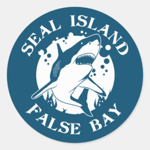 Seal Island False Bay - Scuba Diving With Sharks