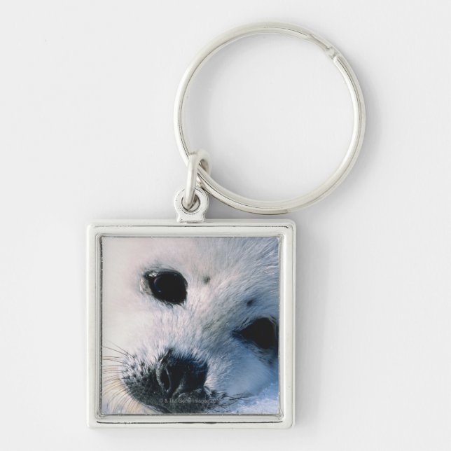 Seal Key Ring (Front)