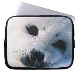 Seal Laptop Sleeve