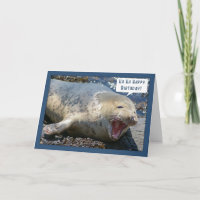 seal laughing birthday greeting card - ha ha happy