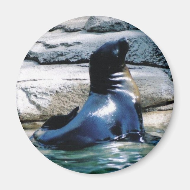 seal Magnet (Front)