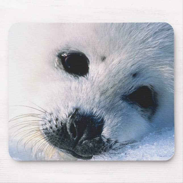 Seal Mouse Pad (Front)