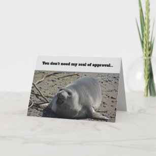 Seal of Approval Ocean Animal Photo Elephant Seal Card