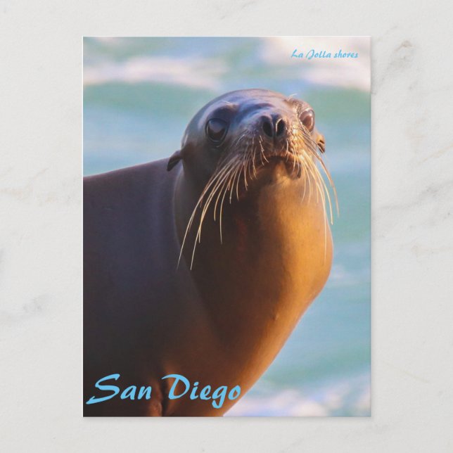 Seal of approval postcard (Front)