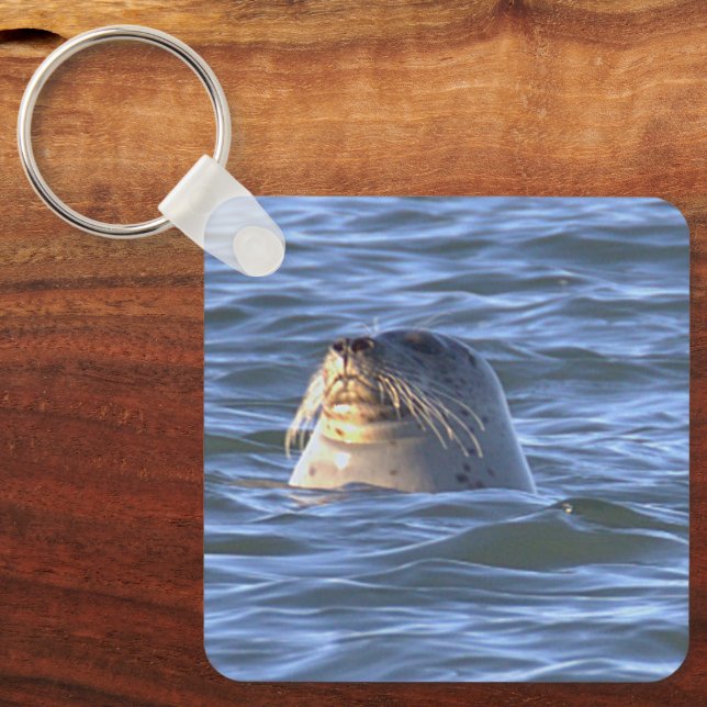 Seal Photo Keychain (Front)