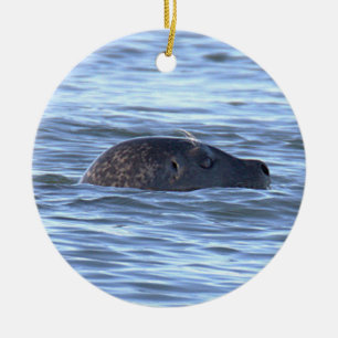 Seal Photo Ornament