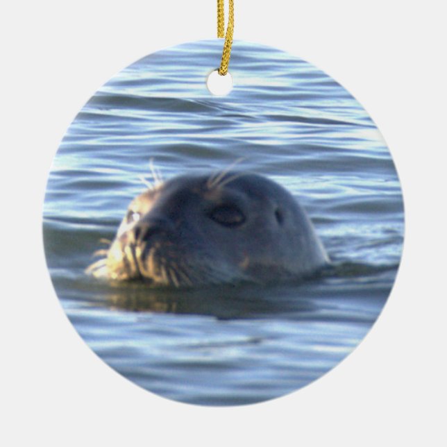 Seal Photo Ornament  (Front)