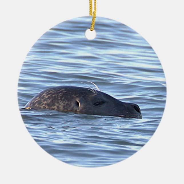 Seal Photo Ornament  (Front)