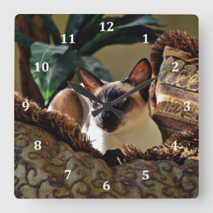 Seal Point Siamese Cat on Comfy Pillow Square Wall Clock