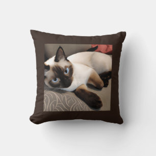 Seal Point Siamese Digital Portrait    Cushion