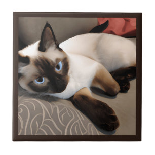 Seal Point Siamese Digital Portrait Tile