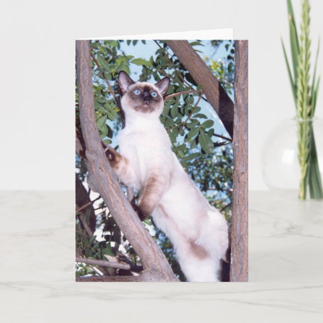 Seal point Siamese greeting card (Front)