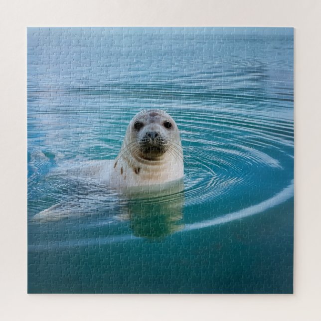Seal Pup Adventure Jigsaw Puzzle (Vertical)