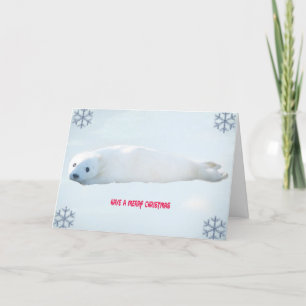 Seal Pup Christmas Card