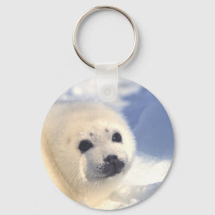 Seal Pup Face Key Ring