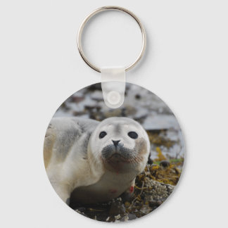Seal Pup Keychain