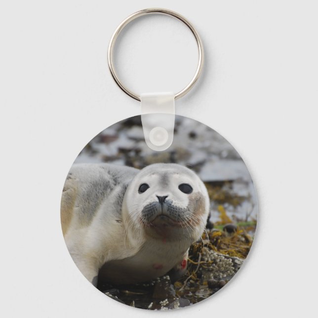 Seal Pup Keychain (Front)