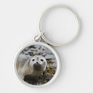 Seal Pup Keychain