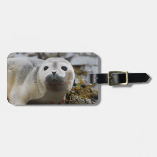 Seal Pup Luggage Tag