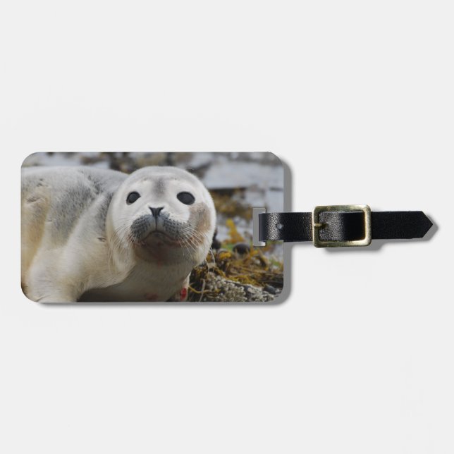 Seal Pup Luggage Tag (Front Horizontal)