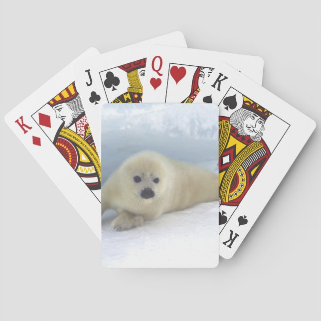 Seal Pup Playing Cards (Back)