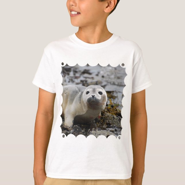 Seal Pup Youth T-Shirt (Front)