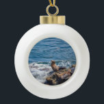 Seal Rock at La Jolla Beach in San Diego Ceramic Ball Christmas Ornament<br><div class="desc">Seals and sea lions resting at Seal Rock in the Pacific Ocean at La Jolla,  San Diego California on a beautiful,  sunny summer day</div>