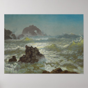 Seal Rock, California, c.1872 Poster