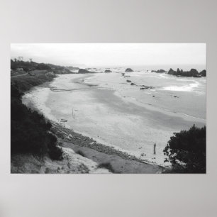 Seal Rock -Duotone Poster