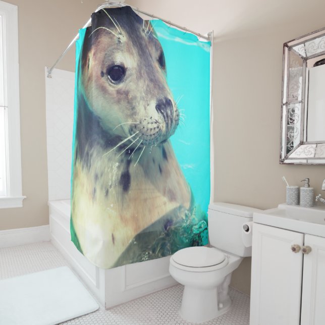 Seal Shower Curtain (In Situ)