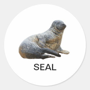 Seal Sticker 01
