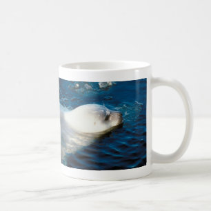 Seal Swimming Coffee Mug