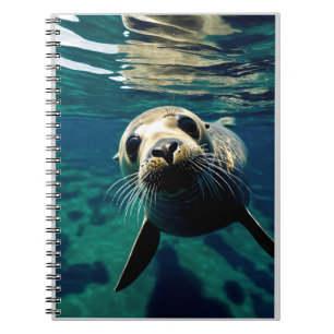 Seal Swimming from Above on Black Background Notebook