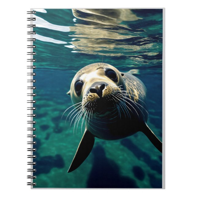 Seal Swimming from Above on Black Background Notebook (Front)